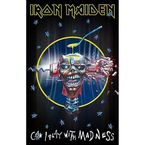 Can I Play With Madness