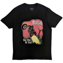 Bat Out Of Hell Cover thumbnail