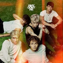 Why Don't We, Vinyl THE GOOD TIMES AND THE BAD ONES