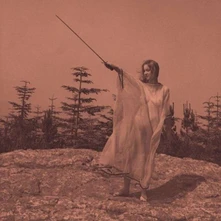 Unknown Mortal Orchestra, Vinyl II
