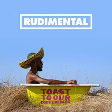 Rudimental, CD Toast to Our Differences