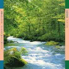 Shiho Yabuki, Vinyl ALPHA WAVE MUSIC