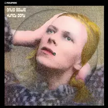 HUNKY DORY (PICTURE VINYL ALBUM) thumbnail