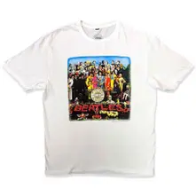 Sgt Pepper thumbnail