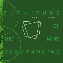 Vinyl FURNITURE OF THE MIND REARRANGING