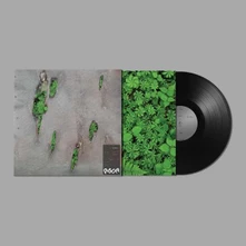Vinyl AGOR