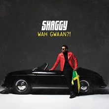 Shaggy, CD Wah Gwaan?!