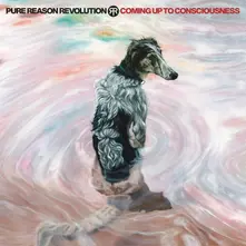 Coming Up To Consciousness thumbnail