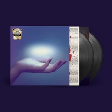 Spoon, Vinyl THEY WANT MY SOUL