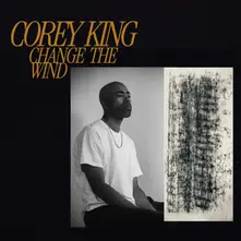 CD CHANGE THE WIND