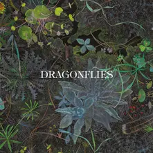 DRAGONFLIES thumbnail