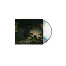 CD THE PLOT IN YOU