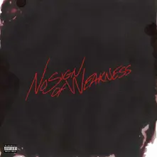 Burna Boy, Vinyl No Sign Of Weakness (Midnight Vinyl)