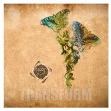 Vinyl TRANSFORM