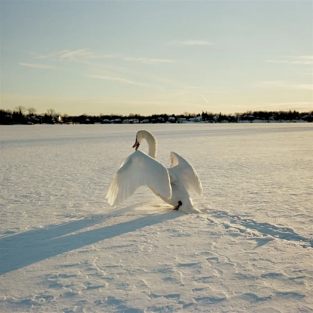 SIGIL (CD)