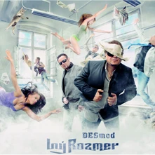 CD INY ROZMER/REEDICE