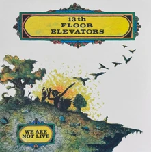 The 13th Floor Elevators, Vinyl WE ARE NOT LIVE