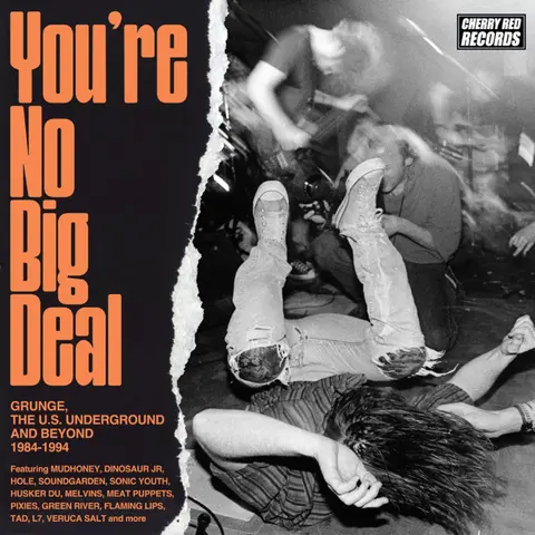 Various Artists – CD YOU'RE NO BIG DEAL - GRUNGE, THE U.S. UNDERGROUND AND BEYOND 1984-1994