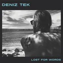 Deniz Tek – LOST FOR WORDS (Vinyl)