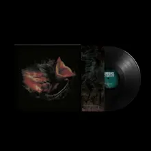 Vinyl NOBODY'S COMING TO SAVE YOU