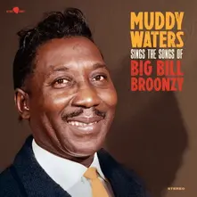 Vinyl SINGS BIG BILL