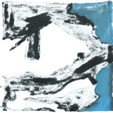 Vinyl Accessory - Dust