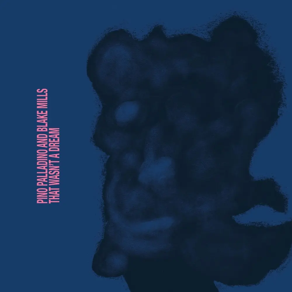 Pino Palladino & Blake Mills – THAT WASN'T A DREAM (CD)