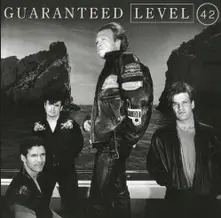 Level 42 – Guaranteed (Expanded Edition) (Silver/Black Marbled Vinyl) (Numbered) (Vinyl)