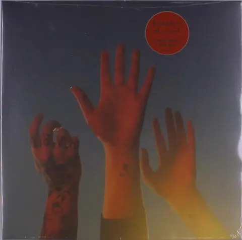 BOYGENIUS - THE RECORD