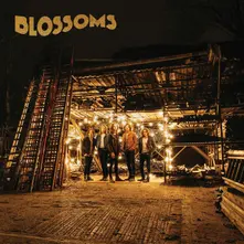 BLOSSOMS thumbnail