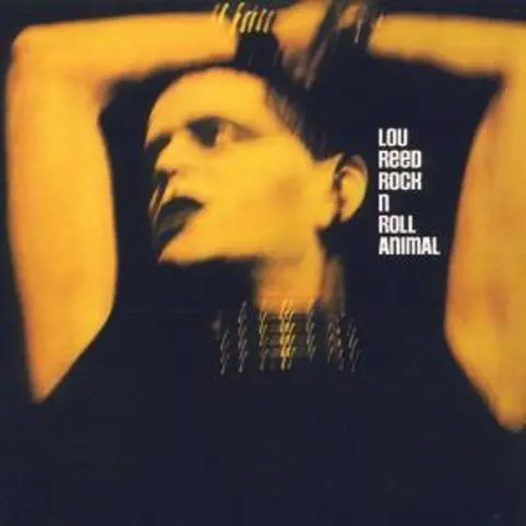 Rock N Roll Animal