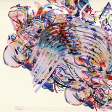 Animal Collective – PAINTING WITH (CD)