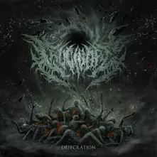 Vinyl DESECRATION