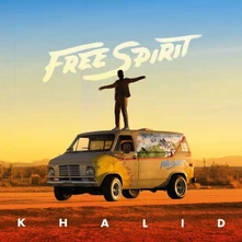 Vinyl Free Spirit