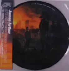 Vinyl It’ll All Make Sense in the End (Picture Vinyl)