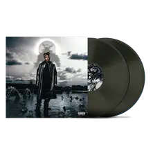 Vinyl Fighting Demons