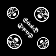 Skull Logo thumbnail