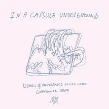 Wand – IN A CAPSULE UNDERGROUND (Vinyl)