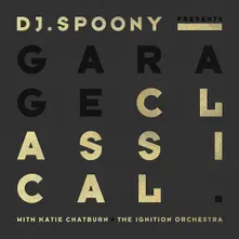DJ SPOONY - GARAGE CLASSICAL thumbnail