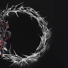 Vinyl DUAL (DUSK VERSION)