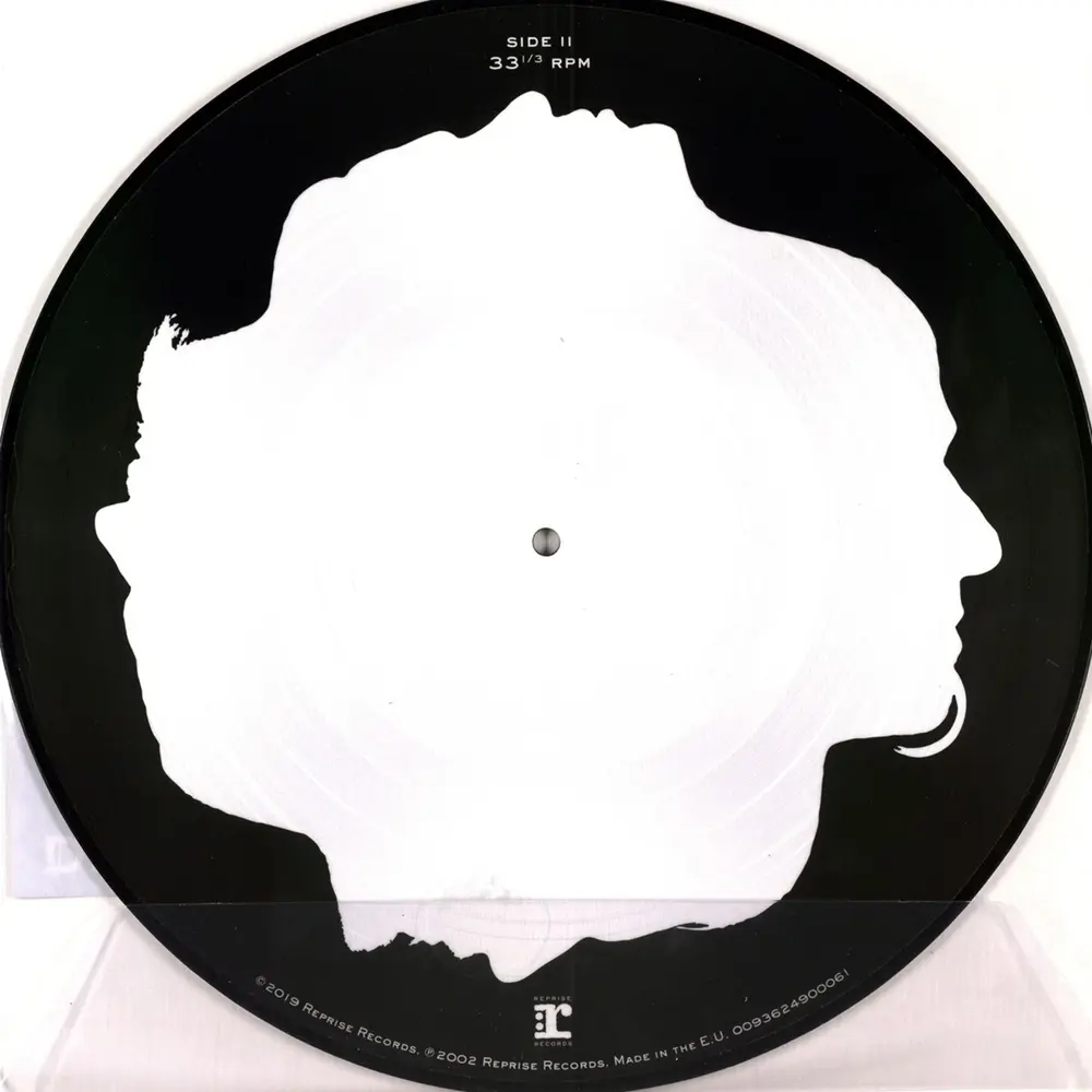 BELIEVE (PICTURE VINYL)