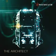 Vinyl The Architect