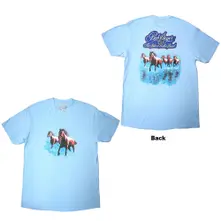 Horses