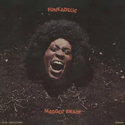 MAGGOT BRAIN