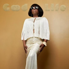 CD LEDISI
