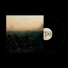 Turnover, Vinyl DOWN ON EARTH