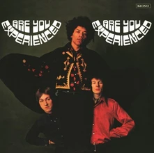 Vinyl Are You Experienced