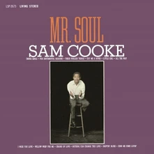 Vinyl Mr. Soul