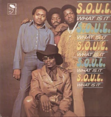 Sounds of Unity and Love (S.O.U.L.), Vinyl WHAT IS IT