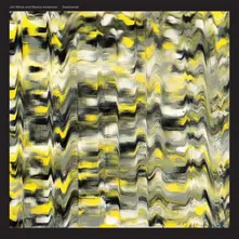 Jim White and Marisa Anderson, Vinyl SWALLOWTAIL